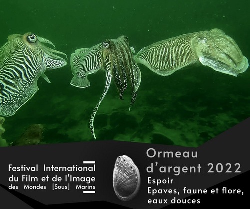 ormeau d'argent 2022