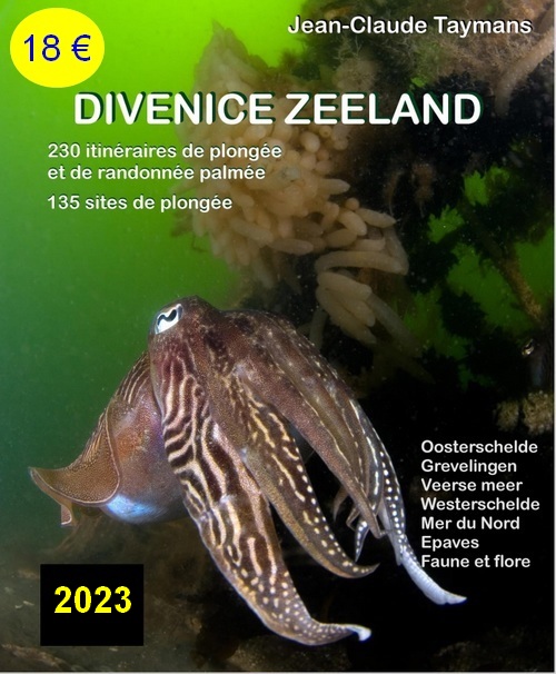 Divenice zeeland