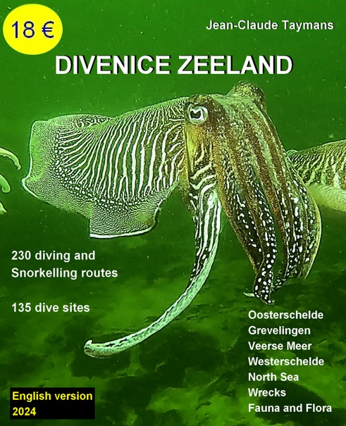 Divenice zeeland