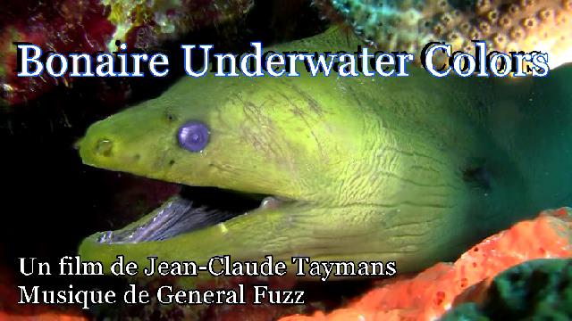 Bonaire Underwater Color