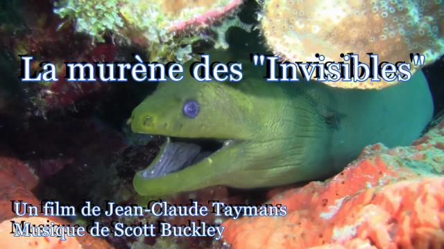 La murne des invisibles