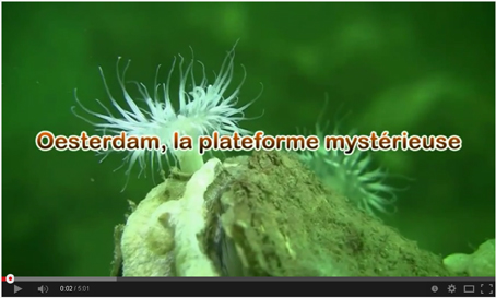 Oesterdam, la plateforme mystrieuse