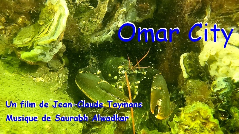 Omar city