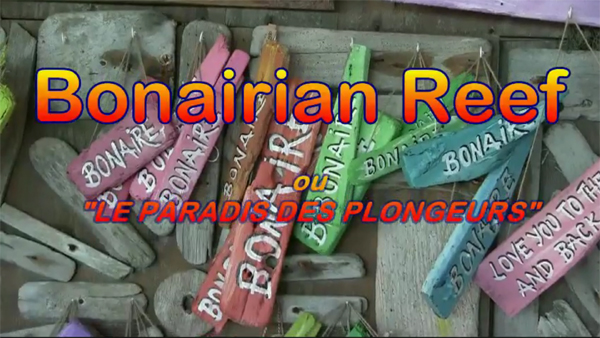 Bonairian reef