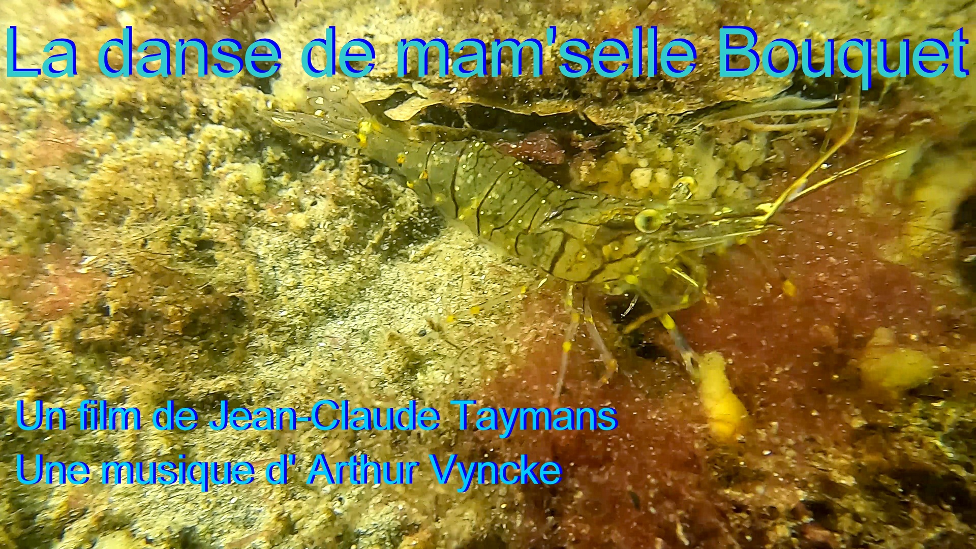 La danse de man'selle Bouquet