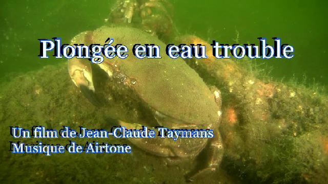 Plonge en eau trouble