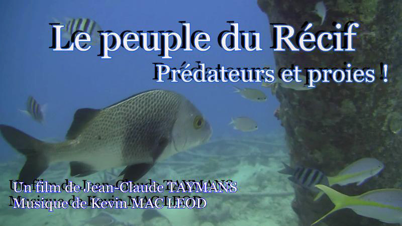 Le peuple du rcif - Prdateurs et proies