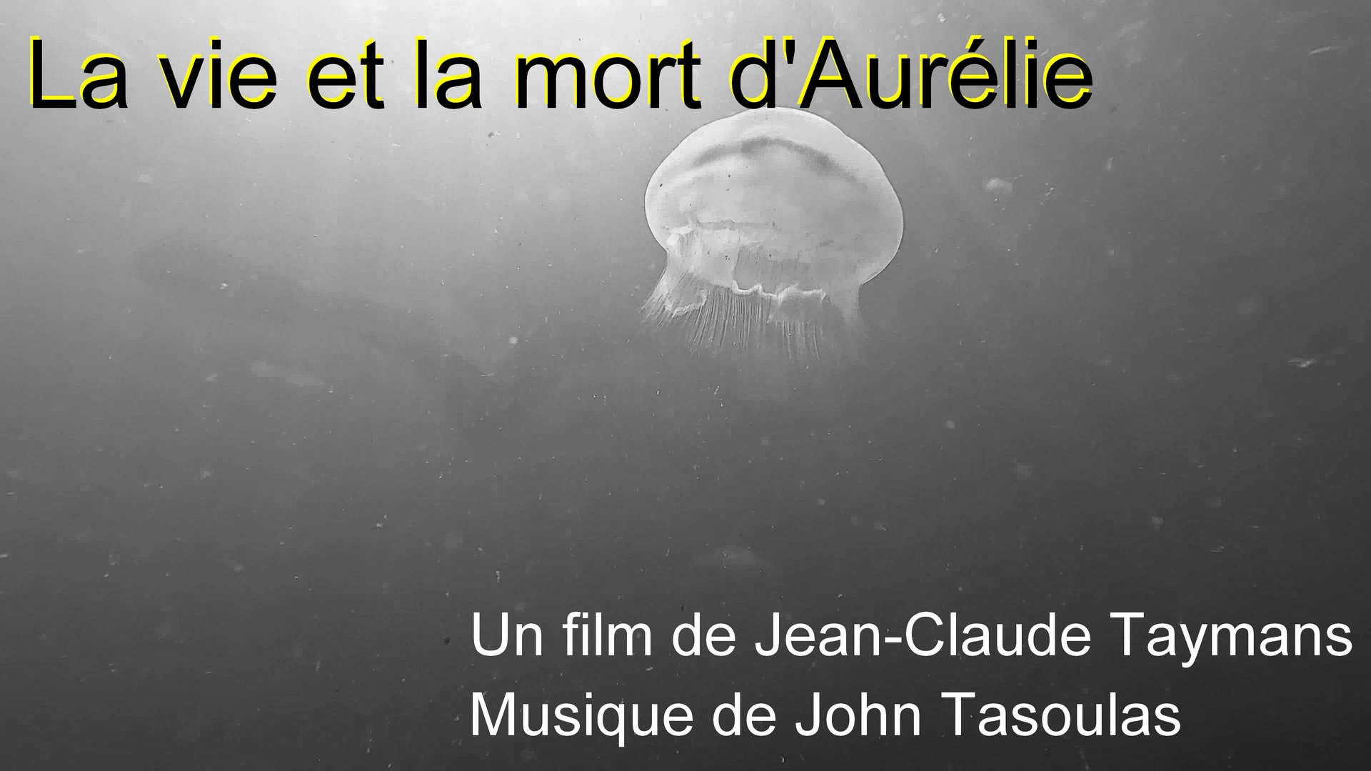 vie te mort d'aurlie